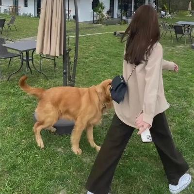 簪定此生