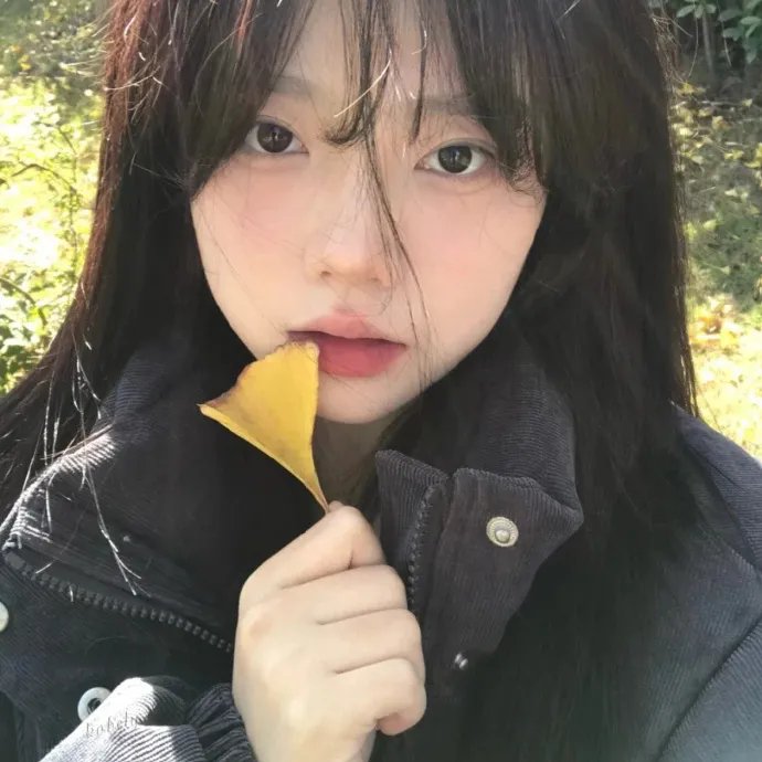 好猫咪咪