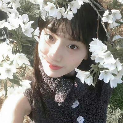 姊妹艳传